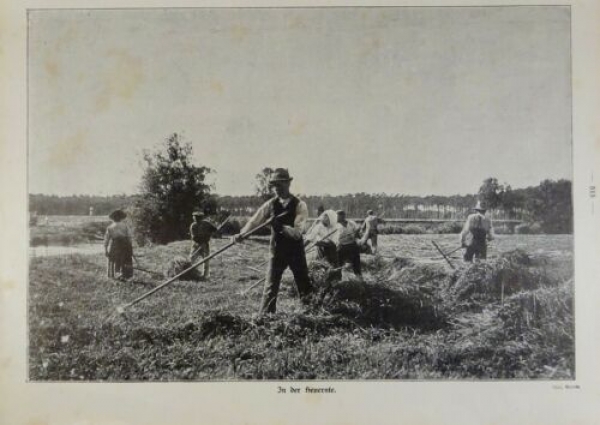 1917 - alter Druck - In der Heuernte